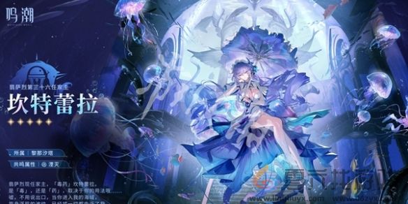 鸣潮2.8版本复刻角色一览(图7)